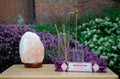 Meditation - Incense Sticks